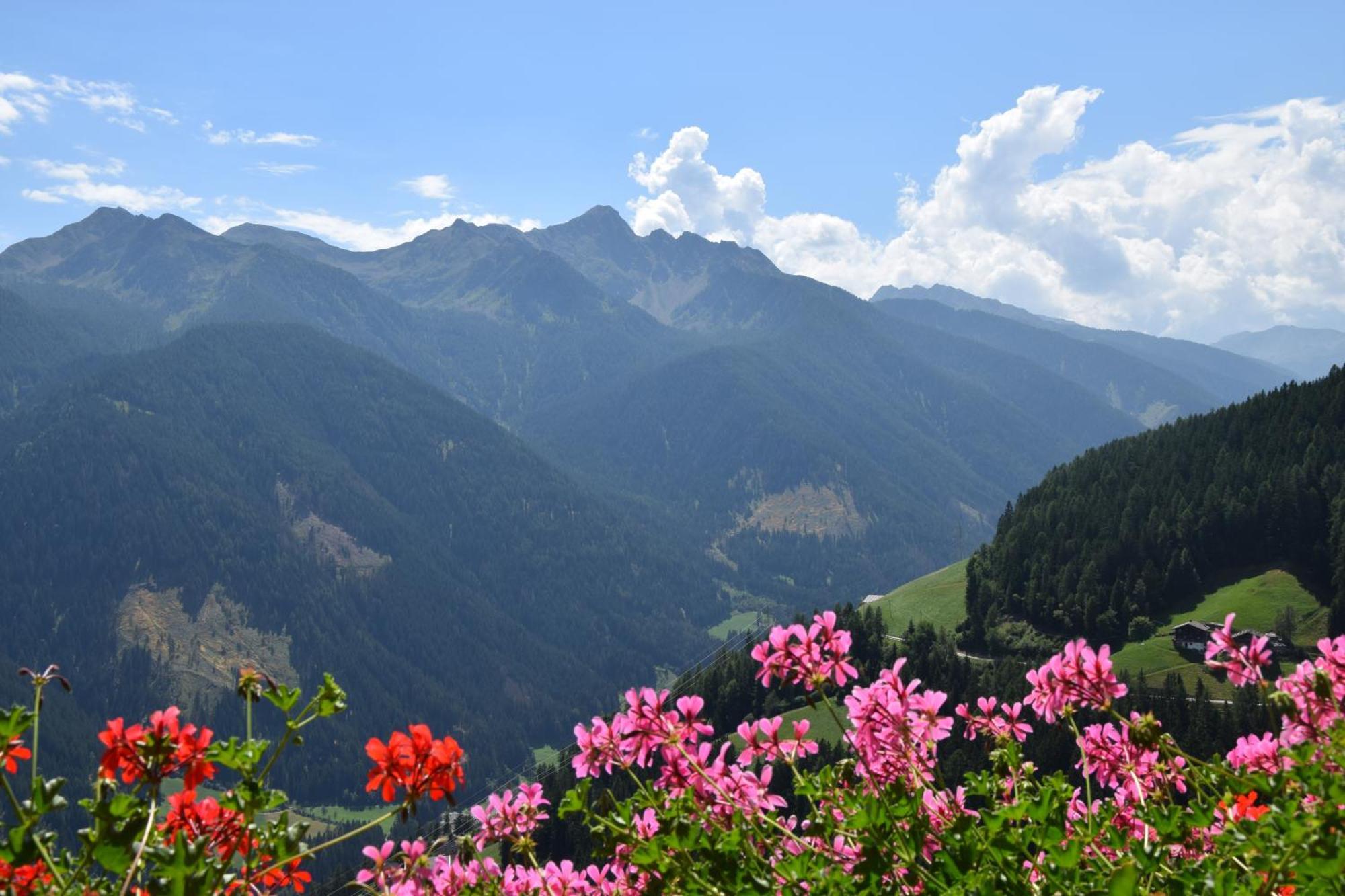 Ortlerhof Im Ultental - Urlaub Auf Dem Bauernhof المظهر الخارجي الصورة